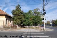 Imagine atasata: Vidrighin-Torac - 2013.10.06 - 06.jpg